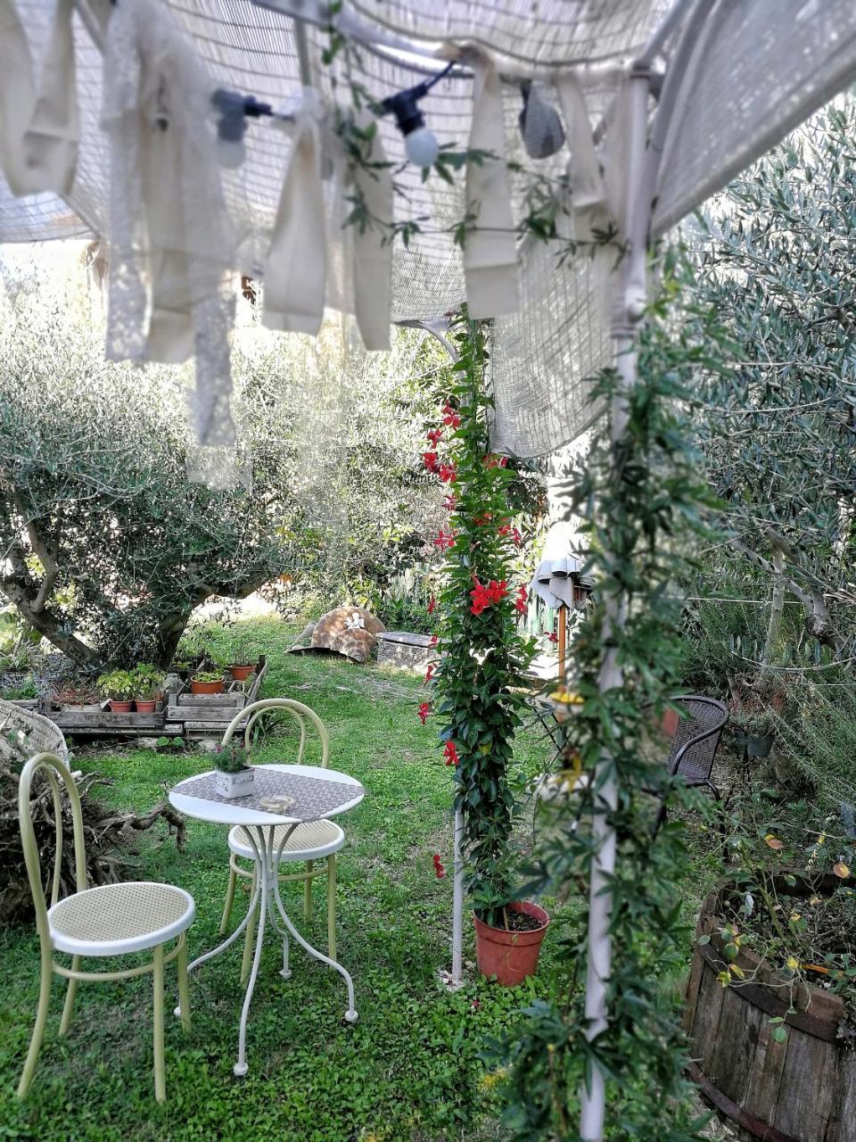 Il Giardino Dei Frati Bed & Breakfast Roncofreddo Eksteriør bilde